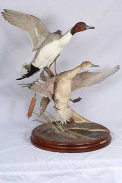 Robert & Virginia Warfield Carved Pintail Ducks.