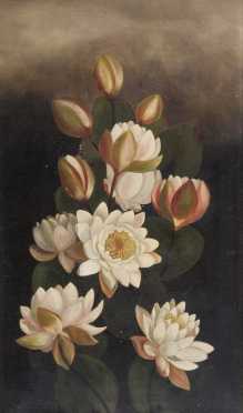 19th Century Still Life of Camellias