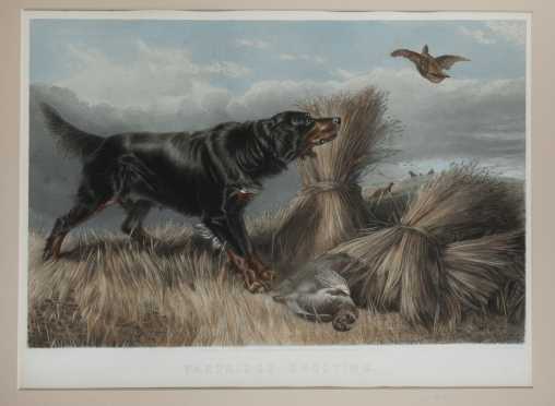 Hand Colored Etching of "Partridge Shooting" dated 1880