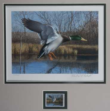 "Ducks Unlimited, Inc. 19th Annual Stamp and Prints by Richard Plasschaert"