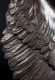 Bronze Bird Casting by S.L. York