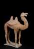 Large Tang Dynasty Bactrian Camel