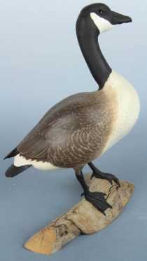 Warfield Canada Goose
