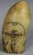 Scrimshaw Decorated Tooth