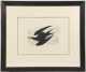 John James Audubon "Sooty Tern", plate CCXXXV,Robert Havell, folio size