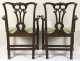 Pair of Chippendale Arm Chairs