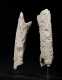 A superb pair of Mayan carved bones, 550 - 950 AD - Published and exhibited