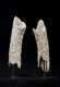 A superb pair of Mayan carved bones, 550 - 950 AD - Published and exhibited
