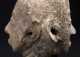 Janus terracotta funerary head