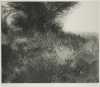 Peter Winslow Milton, etching "Summer Landscape III" with Catalog Raisonne'.