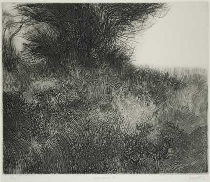 Peter Winslow Milton, etching "Summer Landscape III" with Catalog Raisonne'.