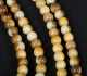 Mammoth Ivory Beaded Necklace