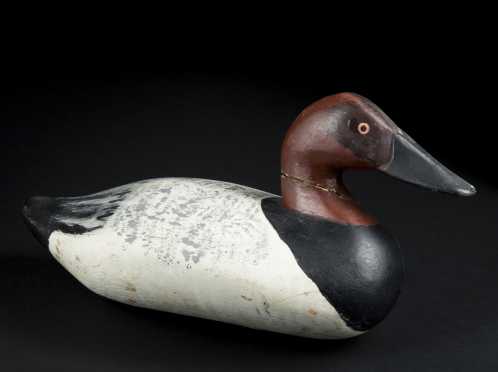 Duck Decoy of Canvas back Drake, School of Madison Mitchell
