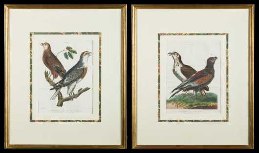 Pair of Birds of Prey Prints, published by J Wilkes