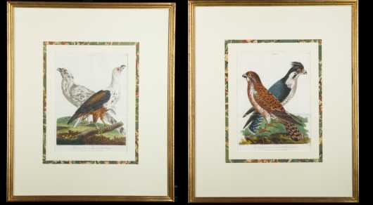Pair of Birds of Prey Prints, published by J Wilkes