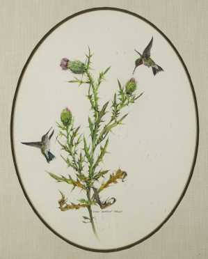 Mary Barrett Brown, (1938-   ) American., Watercolor of "Hummingbirds & Thistle"