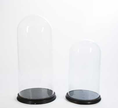 Two Glass Display Domes with grooved wooden bases