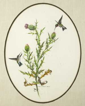 Mary Barrett Brown, (1938- ), American, watercolor of "Hummingbirds and Thistle"