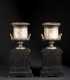 Pair of Marble and Bronze Urns