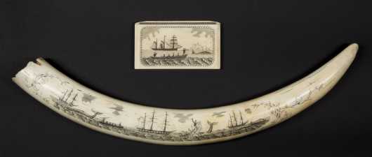 Scrimshaw Decorated Tusk and Case