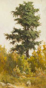 Landscape Painting of Pine Tree