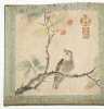 Chinese Booklet of Bird Paintings