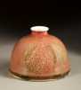 Chinese Porcelain Beehive Water Pot