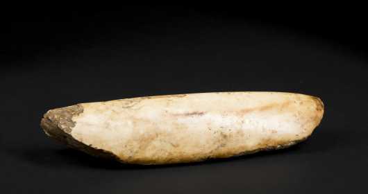 A fine and rare Ontong Java Shell Chisel