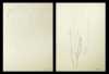 Greg Decker, American, ( 1952-   )- pair of graphite on paper drawings
