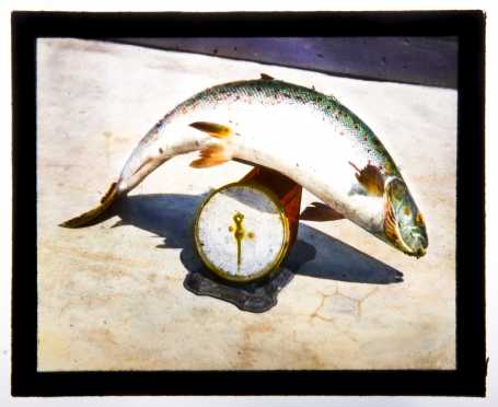 Magic Lantern Glass Slide Collection--Fishing/Maritime