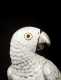Polychrome Porcelain Figure, an African Gray Parrot