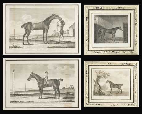Two pair of English Race Horse Prints