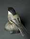 Miniature "Chickadee" by Jessie Blackstone