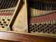 Steinway and Sons Makers Grand Piano