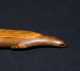 A Large Inuit Fishing Prehistoric Lure in the Form of a Seal