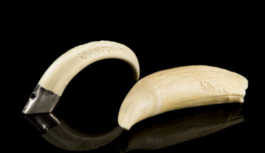 Whales Tooth and Boar's Tusk