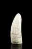 Scrimshaw Decorated Whales Tooth