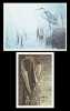 Two Robert Bateman Prints
