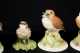 Seven Boehm Porcelain Songbirds