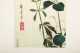 Four Japanese Color Block Prints, Shimsai (1789-1817)