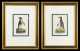 Hand Colored Engravings--Penguins--Shaw and Nodder, 1799/1800