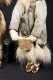 Three Inuit Made Fur Dolls