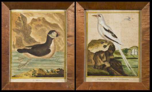 Pair of French Colored Prints of Birds by Martinet