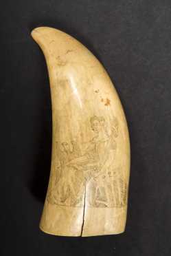 American Scrimshaw Whales Tooth