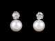 Pair of Pearl & Diamond Earrings