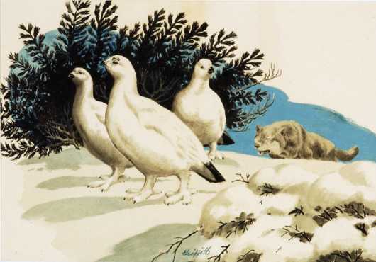 Bill Griffith, watercolor on board of Arctic grouse published in "Sports Afield"