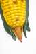 Ear of Corn Trade Sign