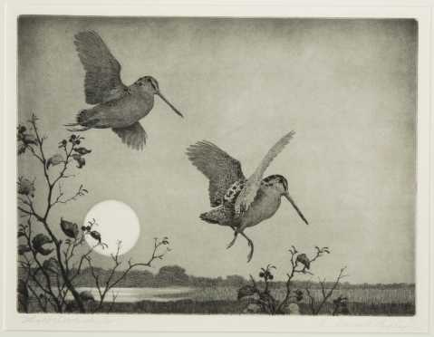 Aiden Lassell Ripley, Mass. (1896-1969) Etching "Flight Woodcocks"