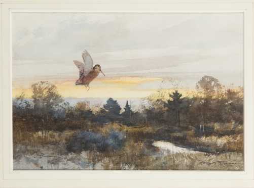Roger Blum, Watercolor Painting of a Woodcock