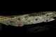 Inuit Carved Speckled Green Soapstone Salmon